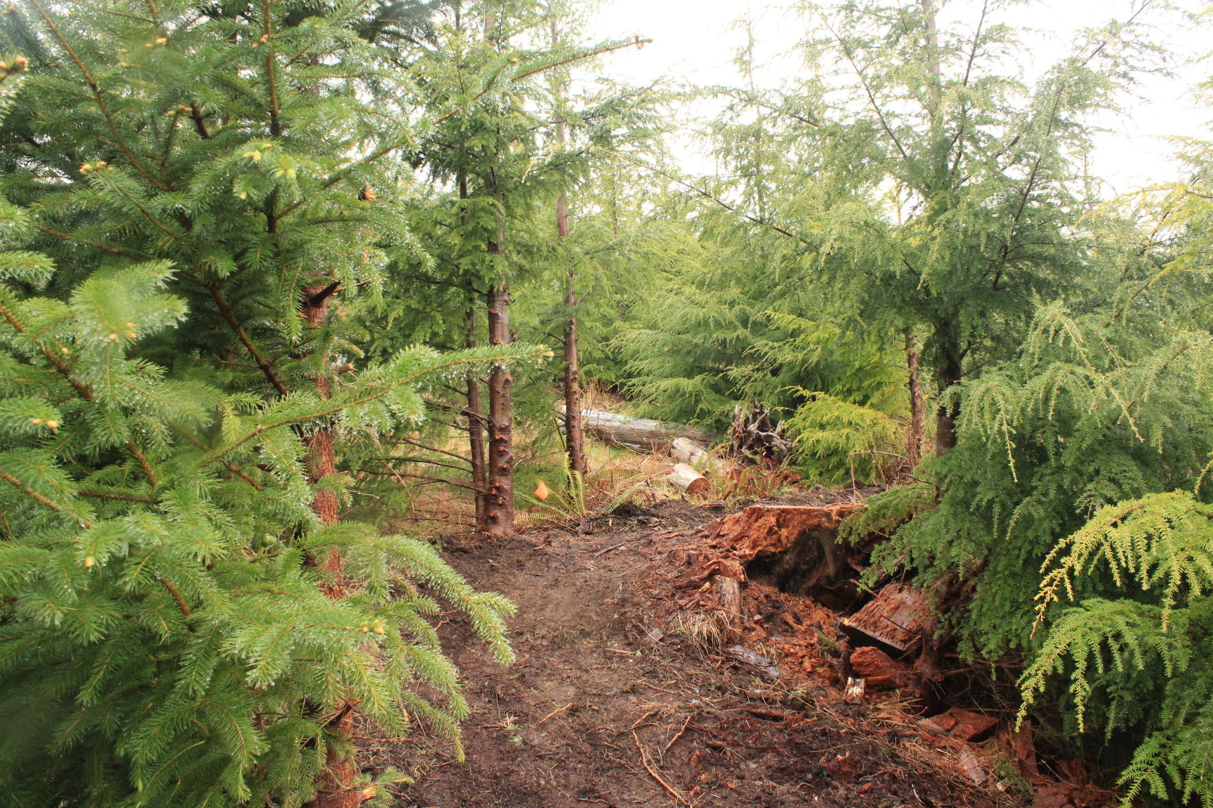 Product of trail work